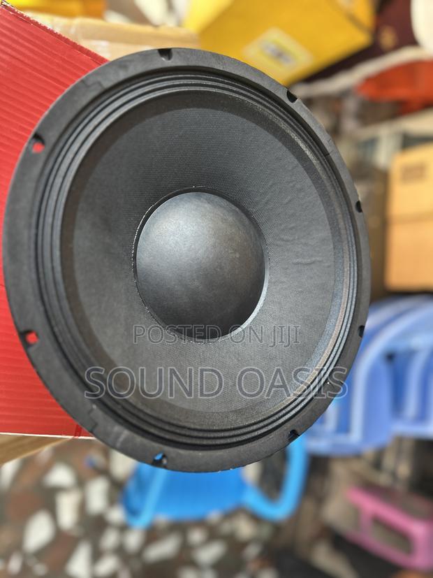 Jld-pw12101-10 Pa Speaker(12 Inches Naked Speaker /Pair) photo 3