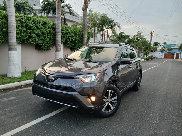 Toyota RAV4 XLE 4dr SUV AWD (2.5L 4cyl 6A) 2018 Gray