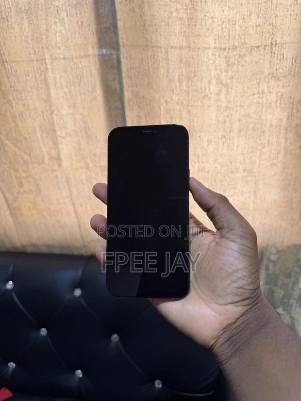 Apple iPhone 12 Pro 256 GB Blue photo 7