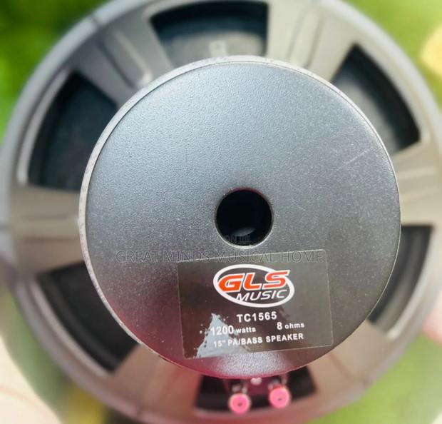 GLS 15 Inches Naked Speakers · Photo 4