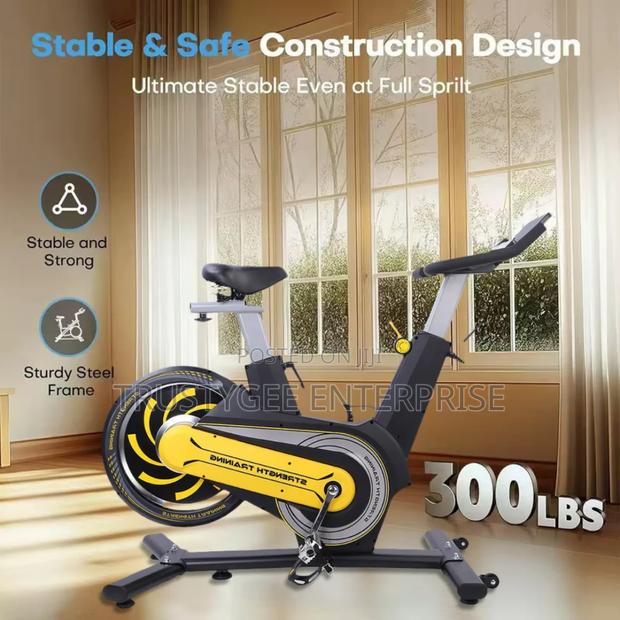 Strength Exercise/Spinning Bike With Display Screen photo 4