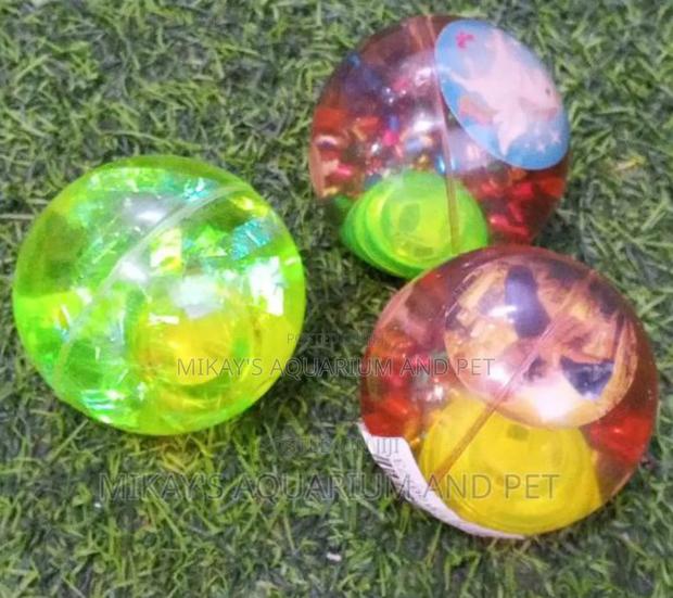Silicon Play Ball Toy for Dogs · Photo 2