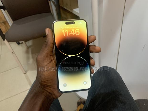 Apple iPhone 14 Pro Max 256 GB Gold photo 7
