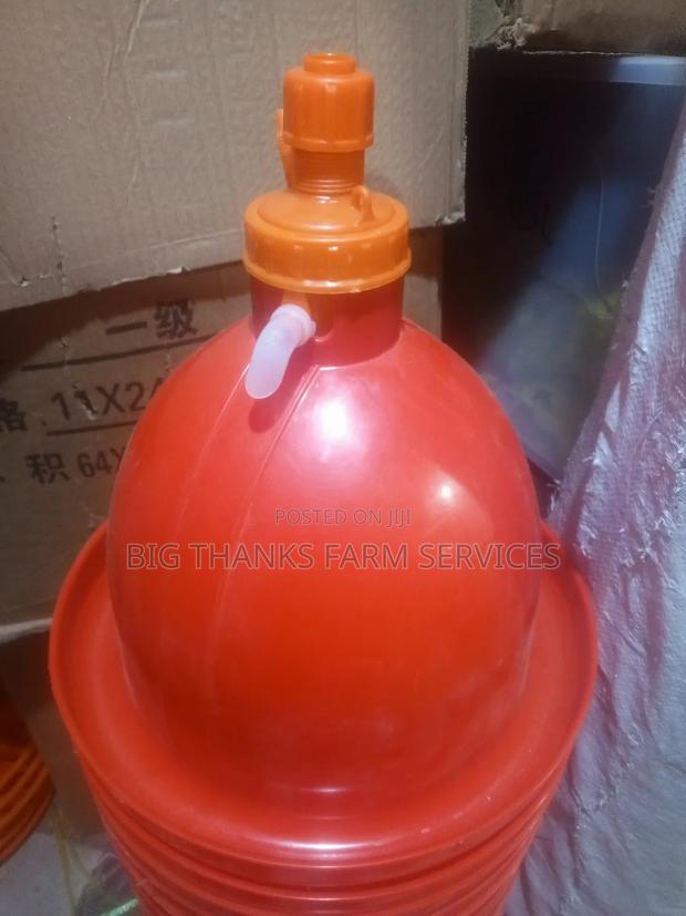 Bell Drinker Medium Jumbos · Photo 3