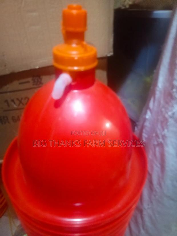 Bell Drinker Medium Jumbos · Photo 4