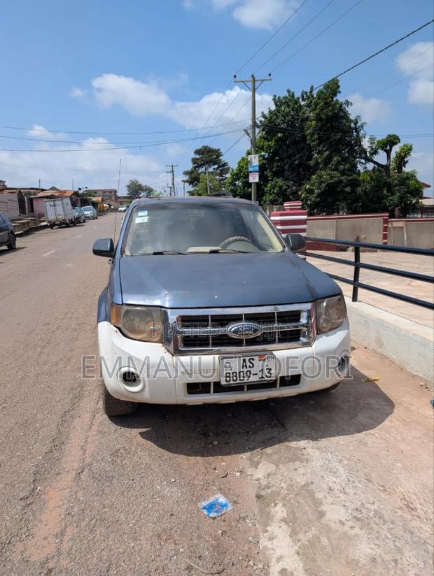 Ford Escape 2010 Blue