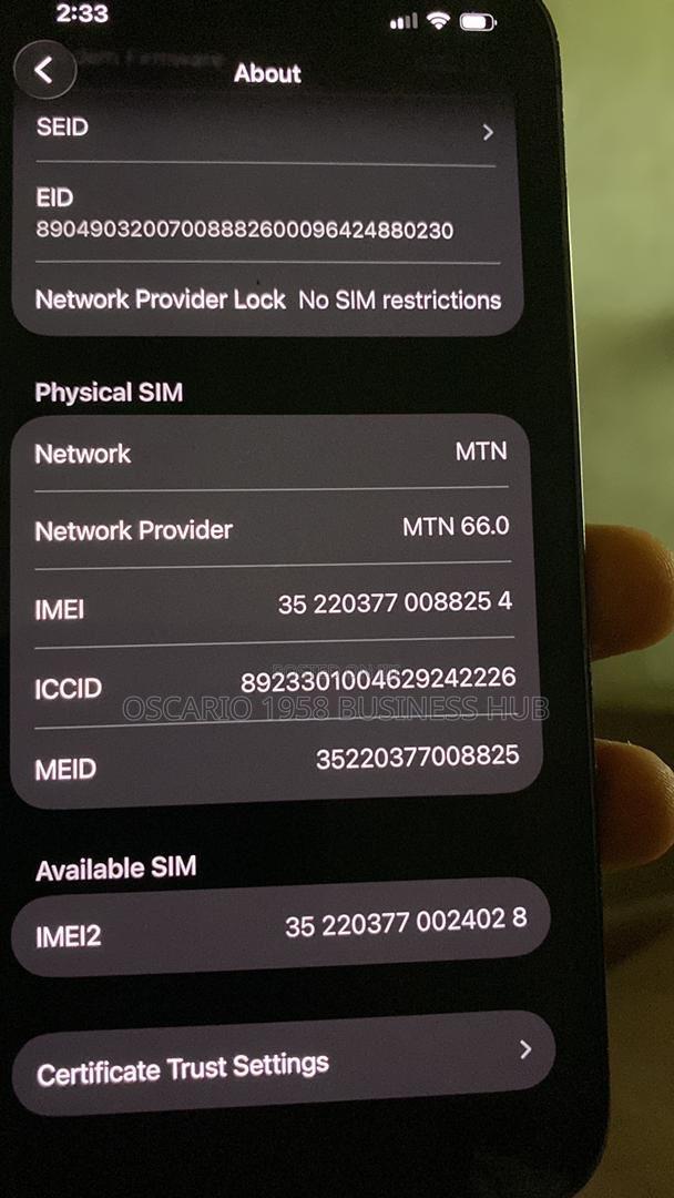 Apple iPhone 13 Pro 256 GB Gray photo 4