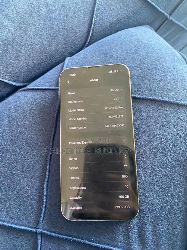 Apple iPhone 13 Pro 256 GB Gray photo 3