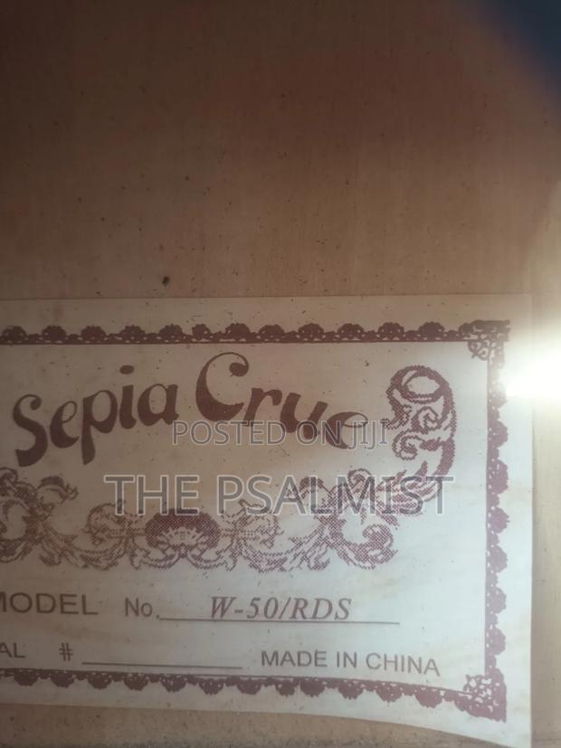 Sepia Crue Acoustic Guitar 1/2 photo 4