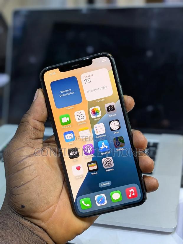 Apple iPhone 11 Pro Max 256 GB Black