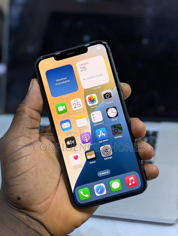 Apple iPhone 11 Pro Max 256 GB Black