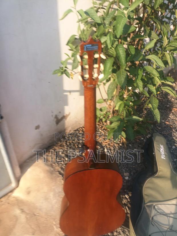 Corina C-7 Classical Guitar With Padded Bag photo 9