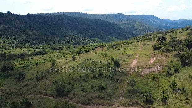 50 Acres of Estate Land Inside Akosombo · Photo 3