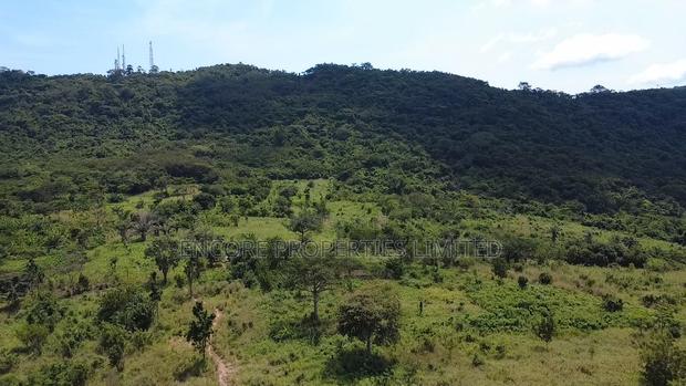 50 Acres of Estate Land Inside Akosombo · Photo 4