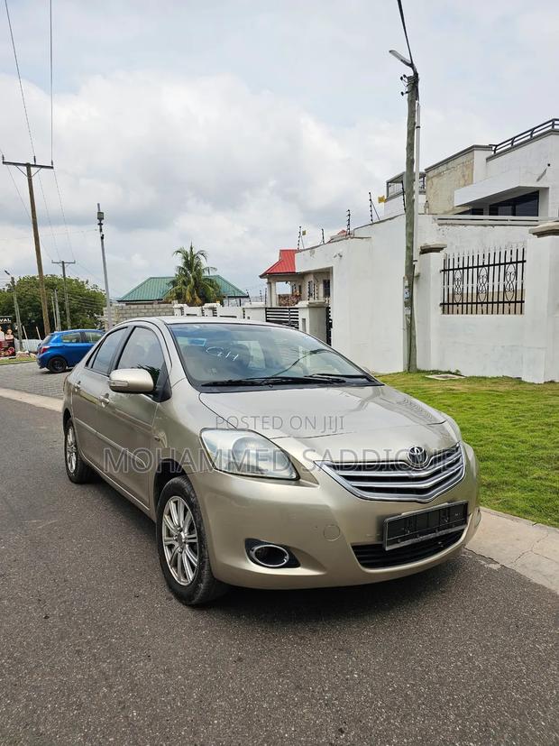 Toyota Vios 2010 Gold