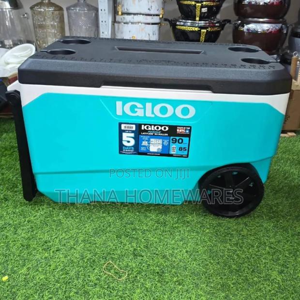 Igloo Cooler Ice Chest · Photo 2