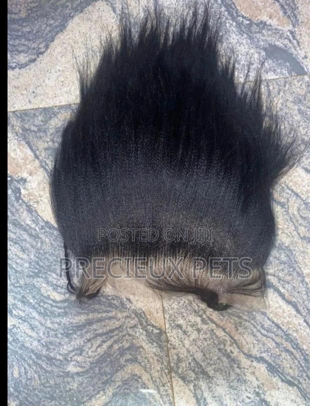 Full Lace for Braided Wig · Photo 2