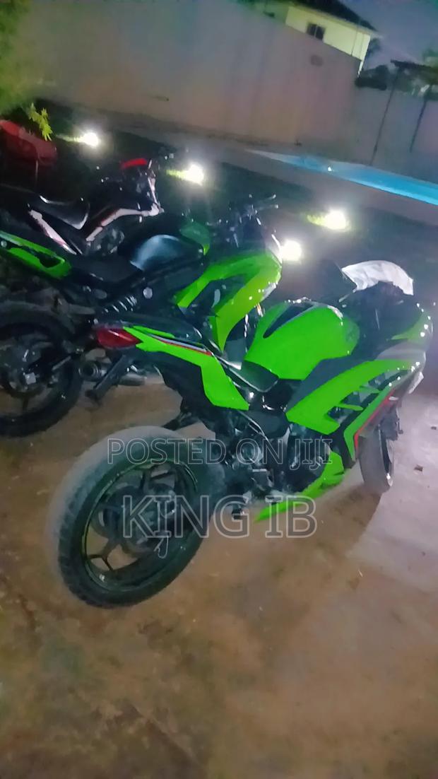 Kawasaki Ninja 300 2023 Green