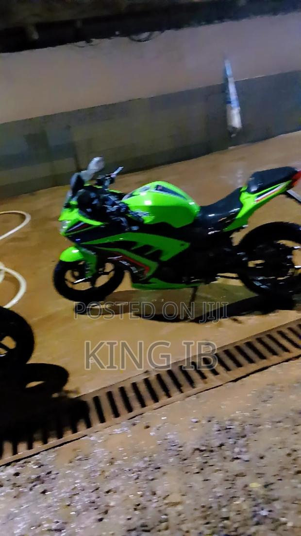 Kawasaki Ninja 300 2023 Green