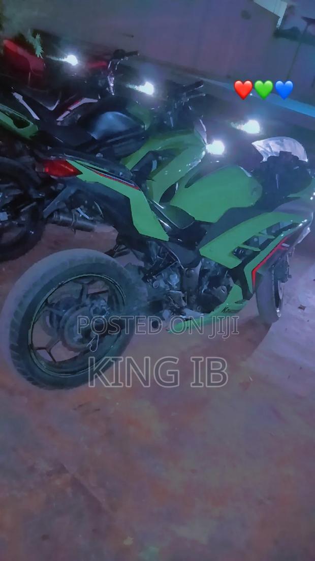 Kawasaki Ninja 300 2023 Green