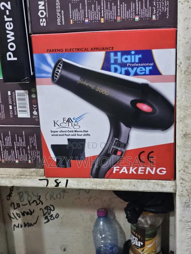 Handheld Hair Dryer