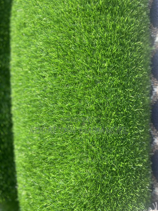 Grass Carpets photo 3