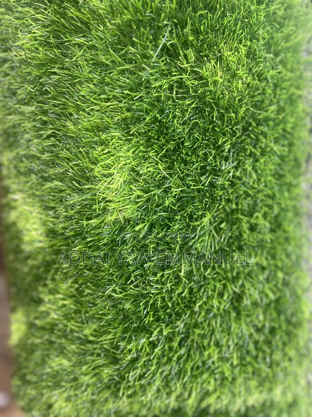Grass Carpets photo 5