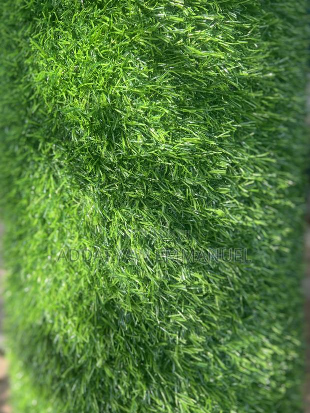 Grass Carpets photo 7