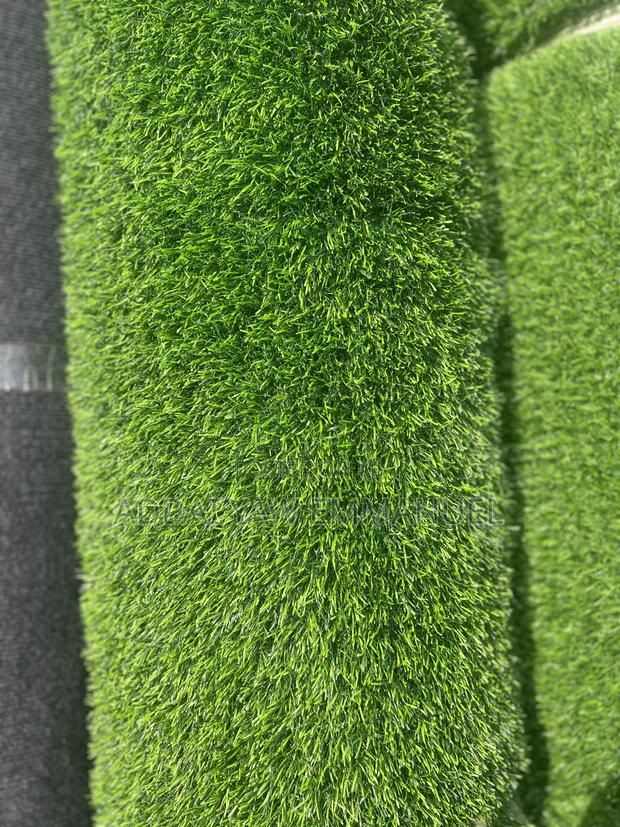 Grass Carpets photo 4