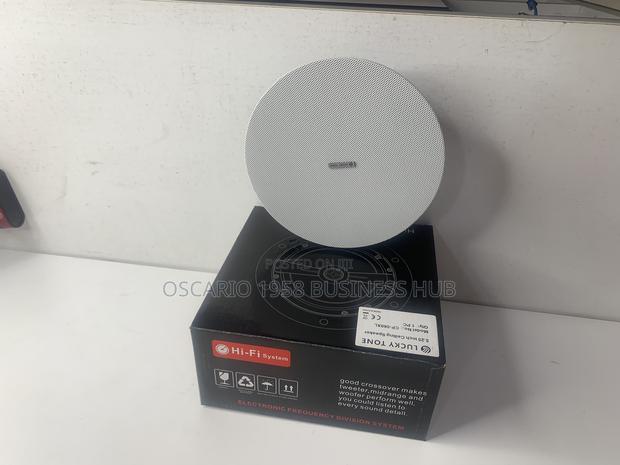 Rimless Ceiling Speaker Cp-560xl