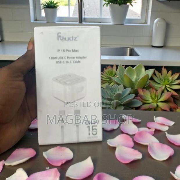 Original iPhone 15 Pro Max Charger (433647)