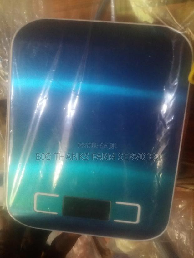 Scale For Weighing Poultry And Other Stuffs · Photo 2
