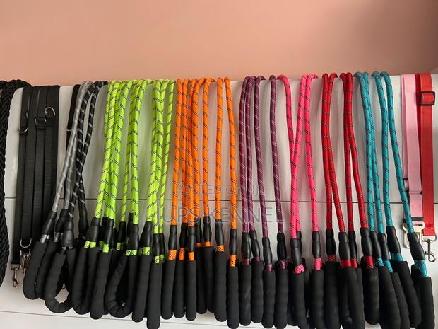 Dog Leashes · Photo 2