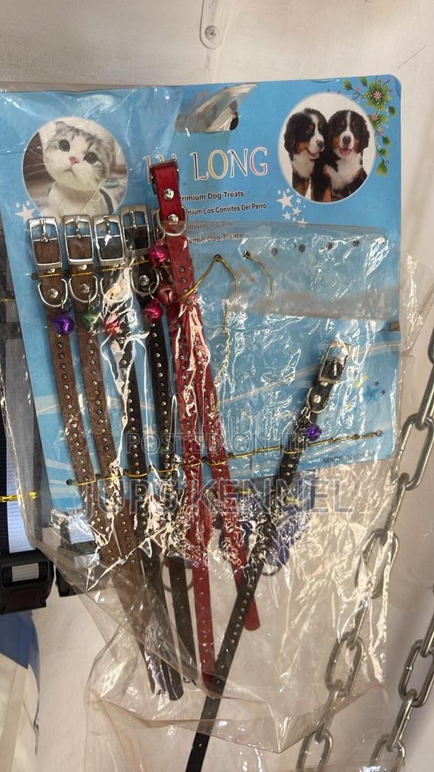 Cat and Dog Collar · Photo 2