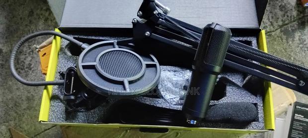 Professional Streaming Condencer Microphone Kit(Uk) photo 10