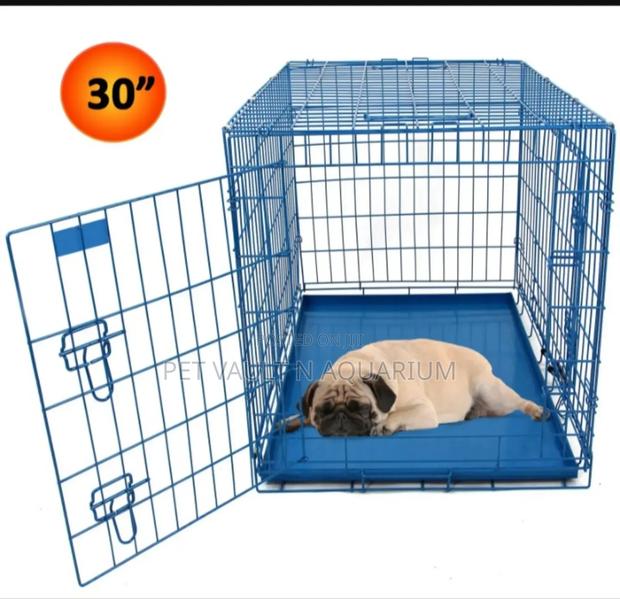 Metallic Dog Cage · Photo 4