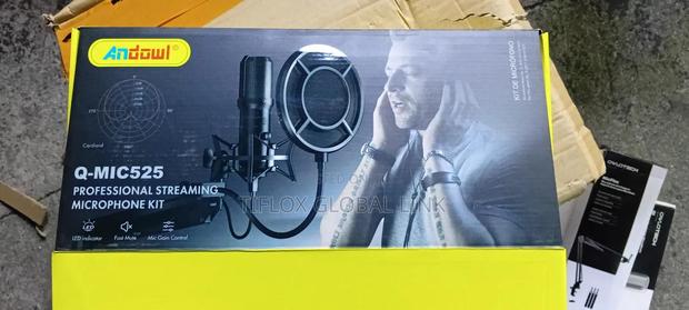 Professional Streaming Condencer Microphone Kit(Uk) photo 8