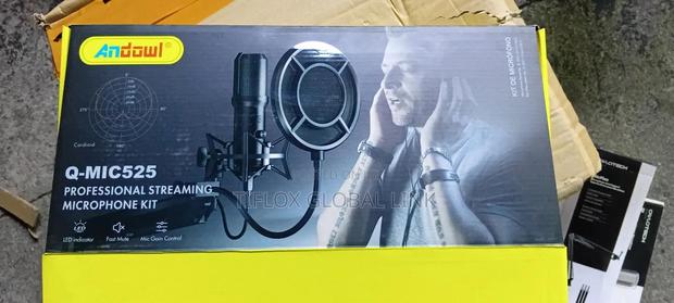 Professional Streaming Condencer Microphone Kit(Uk) photo 9