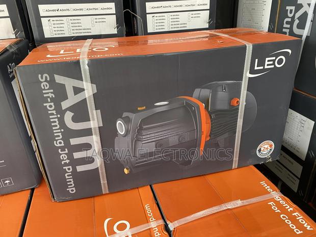 Smooth Leo 2hp Cast Pump · Photo 2
