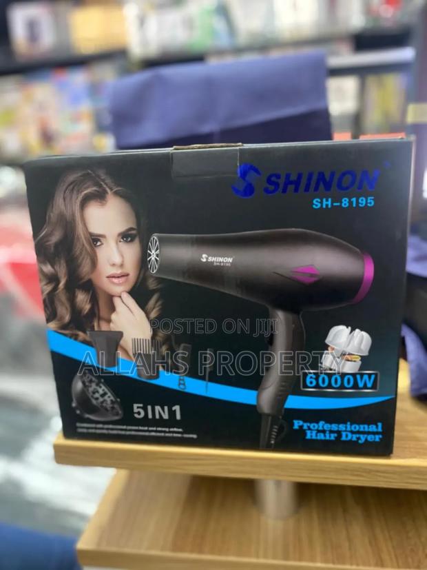 Professional Hair Dryer · Photo 4