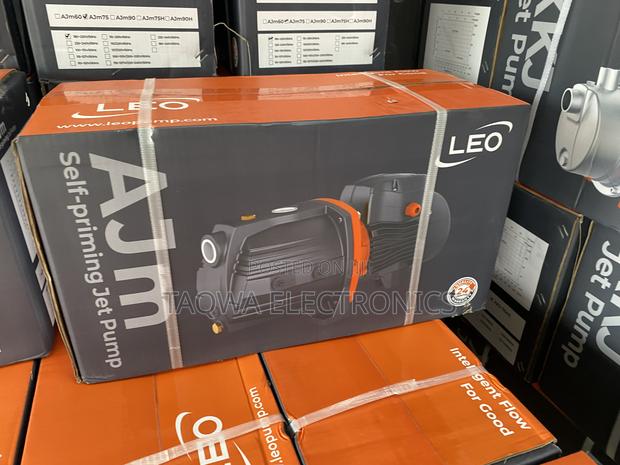 Ajm75 Leo 1.0hp Cast Water Pump · Photo 2