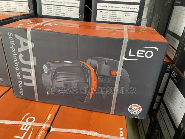 1 Hp / 750 W Leo Cast Water Pump 1.0hp · Photo 2