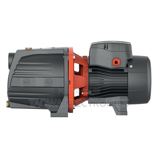 Perfect ~1hp Leo Ajm75 Cast Pump · Photo 2