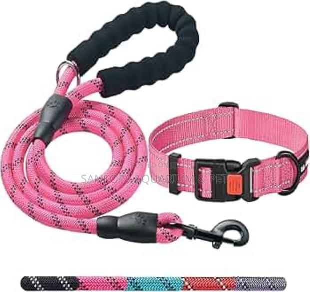 Dog Leash With Color · Photo 2