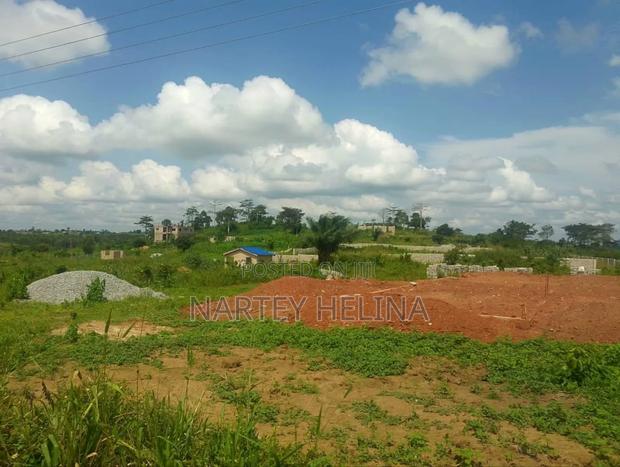 Buduata Plots In The Central Region Are Ready For Sale · Photo 3