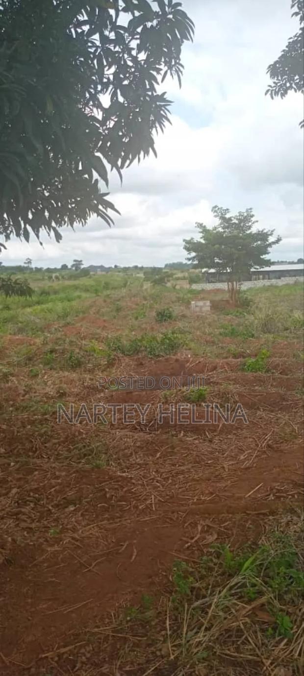 Buduata Plots In The Central Region Are Ready For Sale · Photo 4