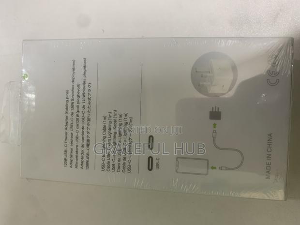 iPhone Complete Charger photo 2