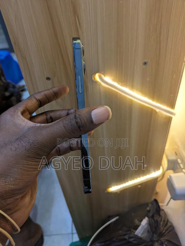Apple iPhone 13 Pro Max 128 GB Green photo 2