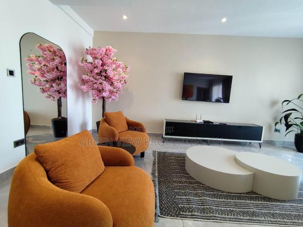 Furnished 2bdrm Apartment in East Legon for rent photo 8