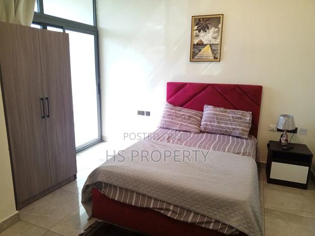 Furnished 4bdrm House in Cantonments for rent photo 13
